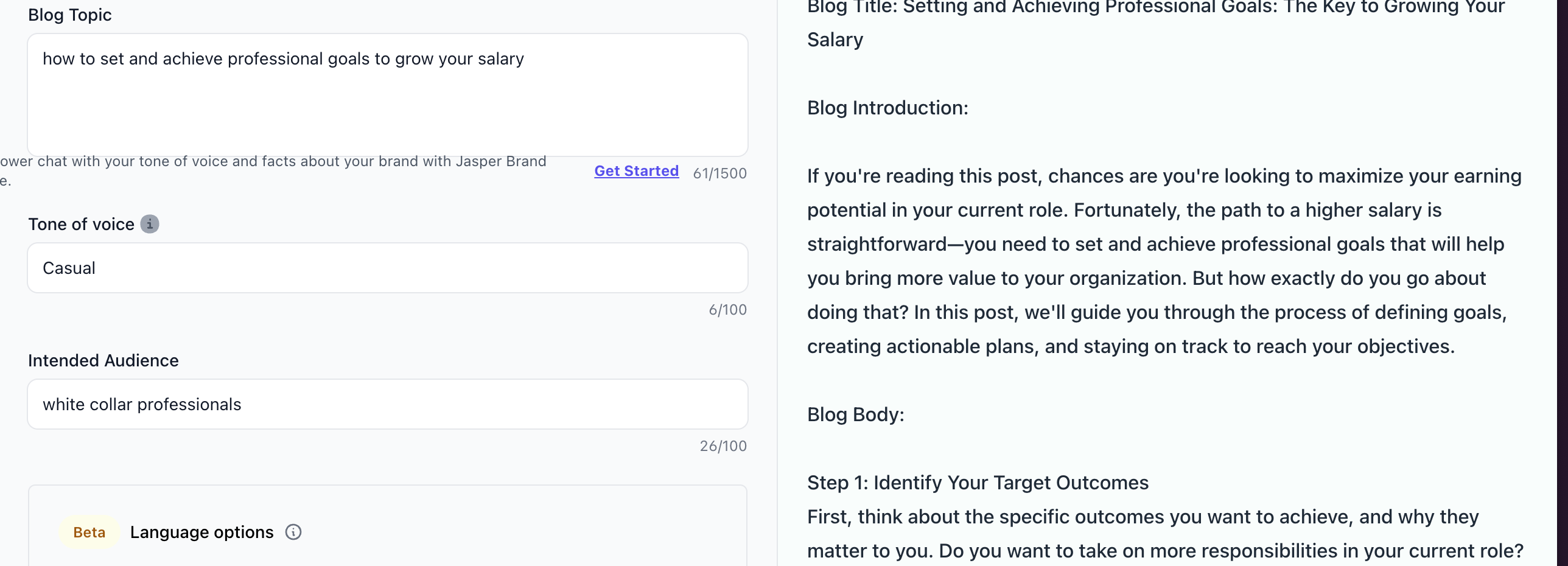 Professional Goals Jasper Prompt